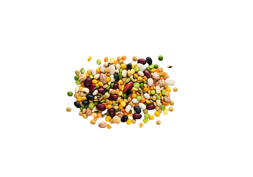Hülsenfrüchte