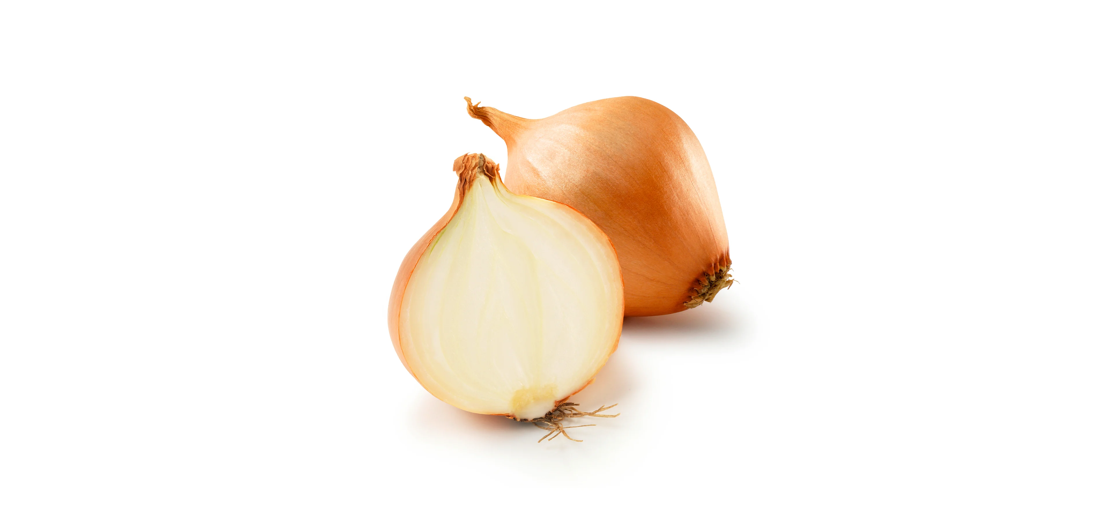 Cipolla bianca