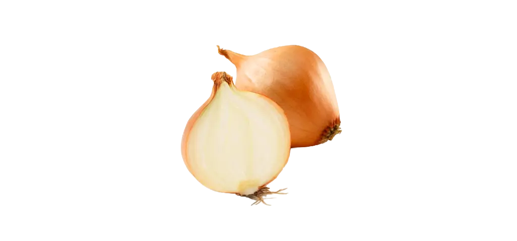 Oignons blancs