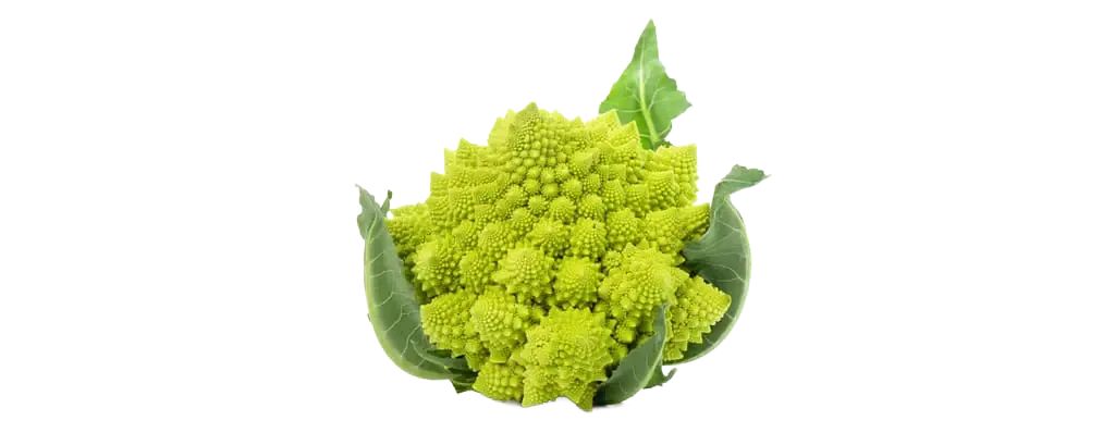 Romanesco