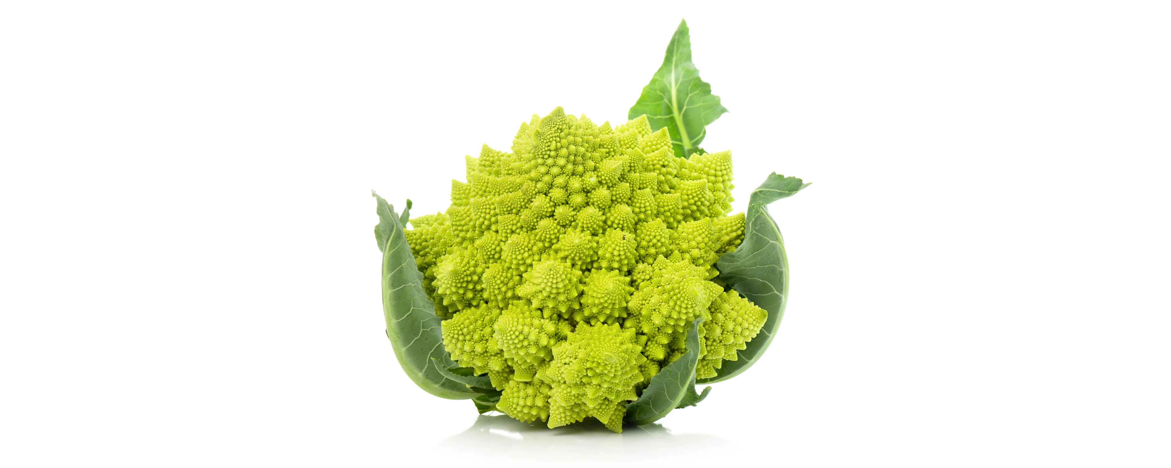 Romanesco