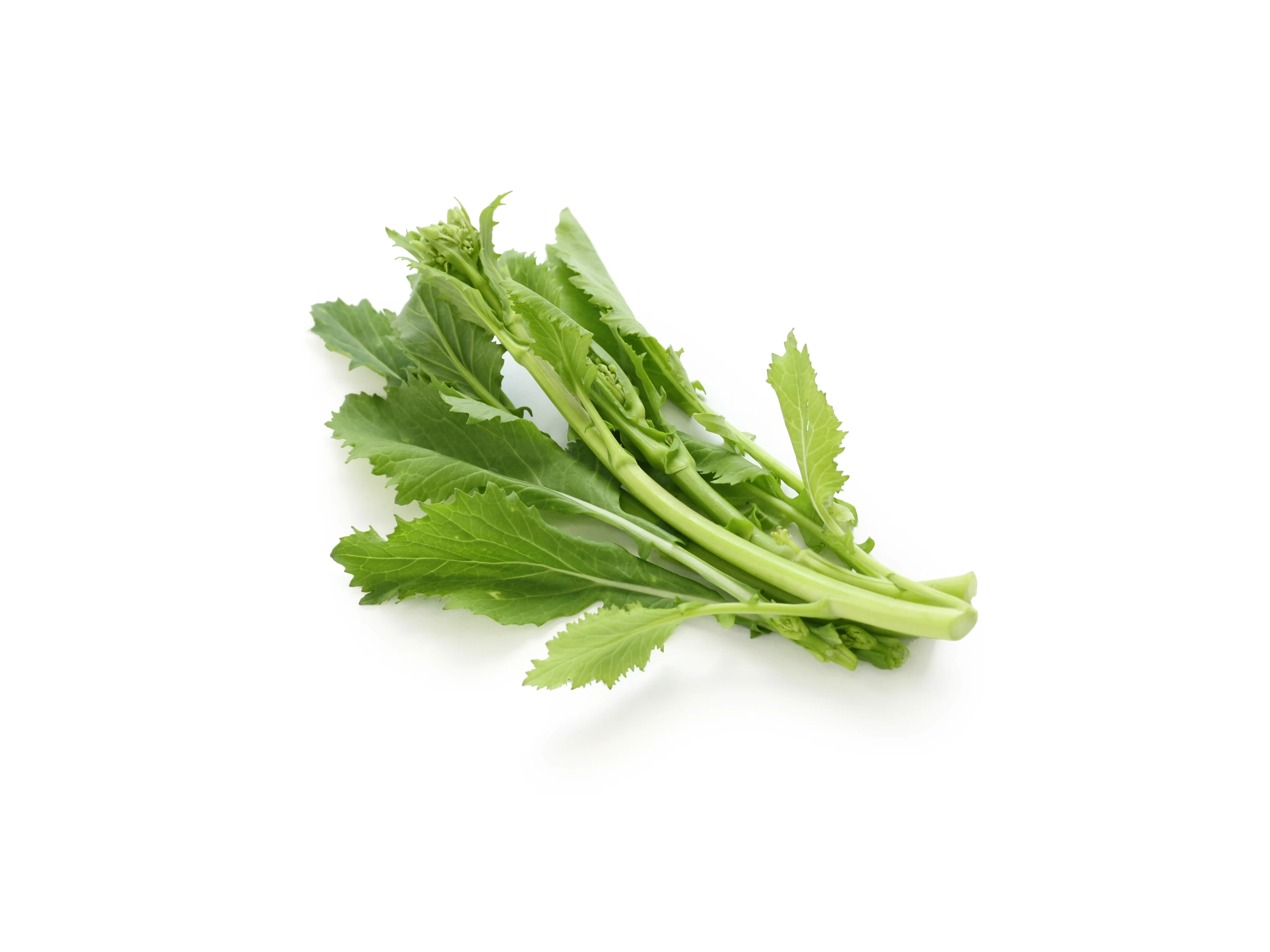 Cima di rapa