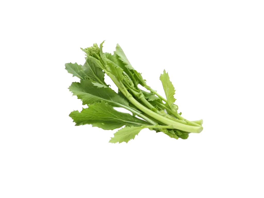 Cima di rapa