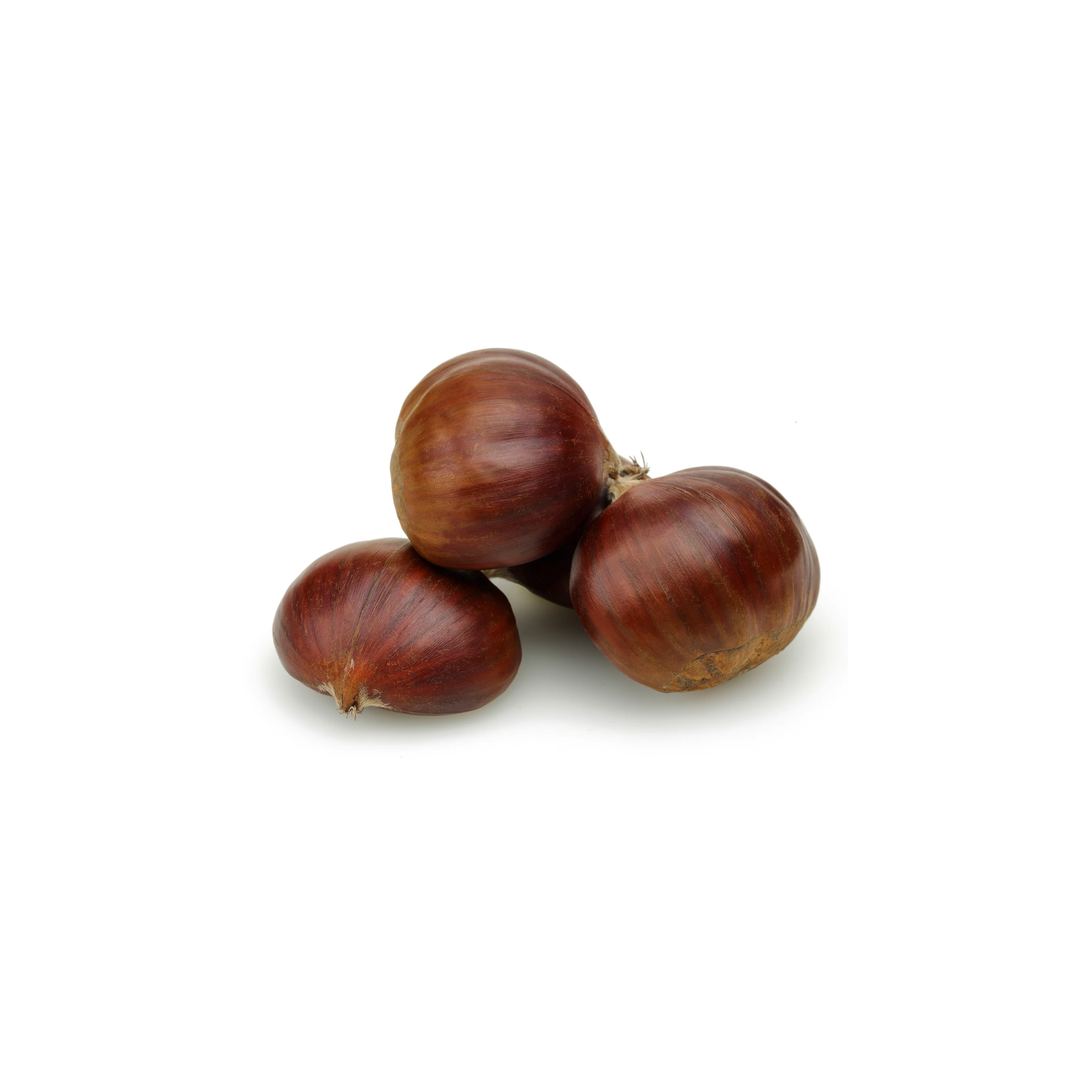 Castagne