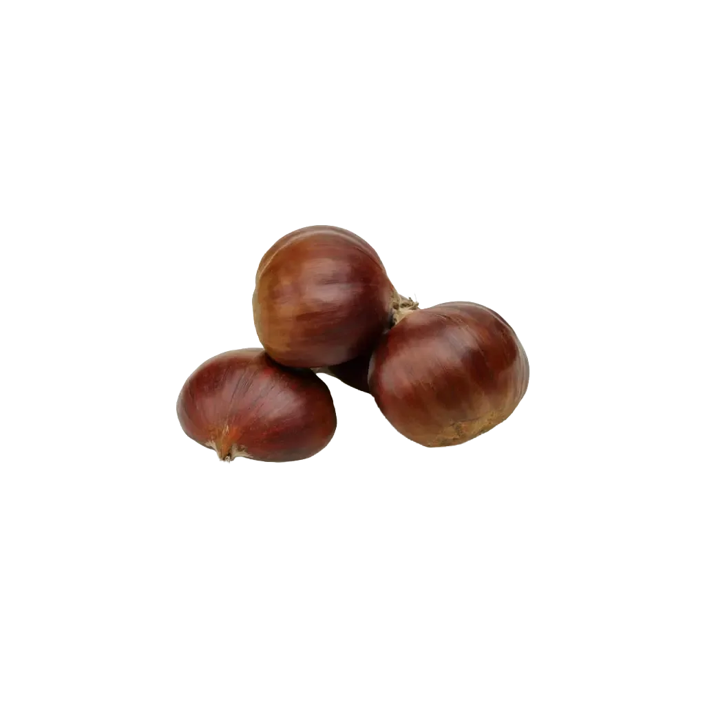 Castagne