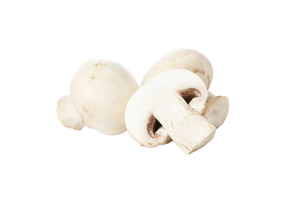 Champignons de Paris