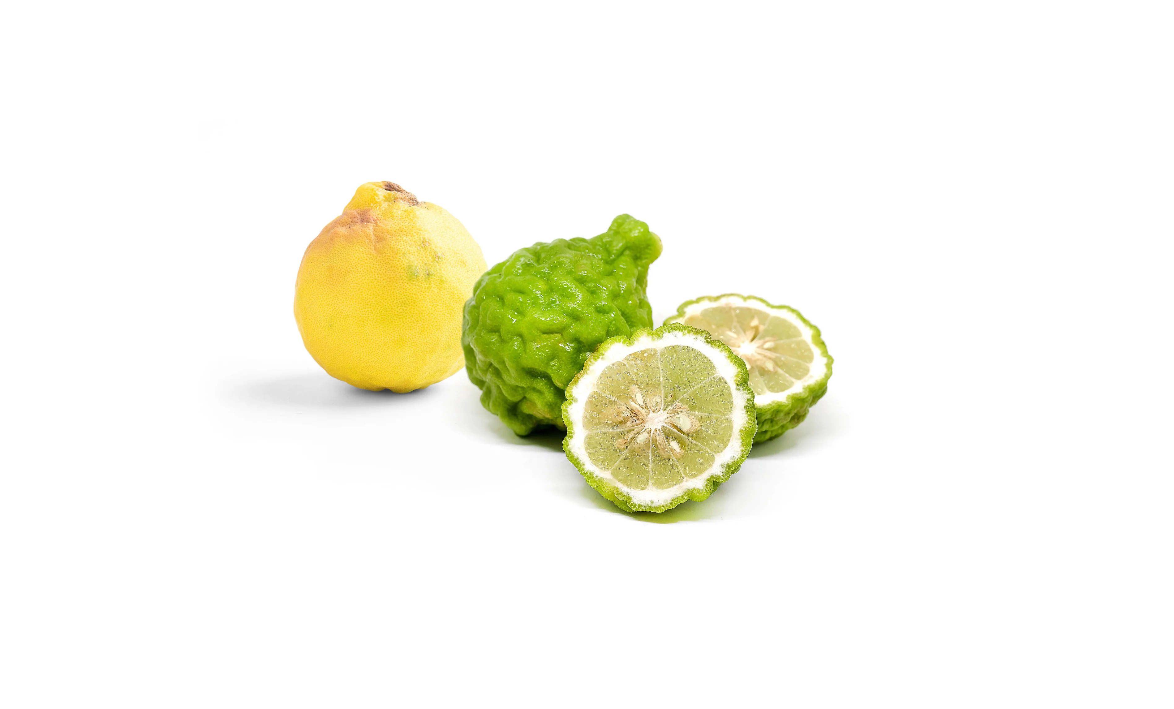Bergamotto
