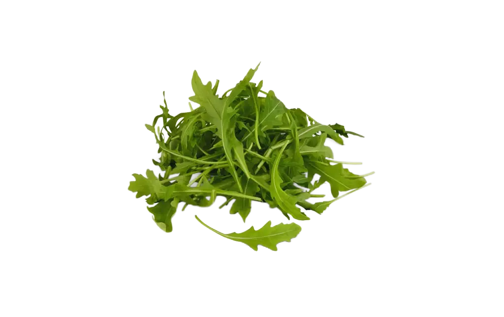 Rucola