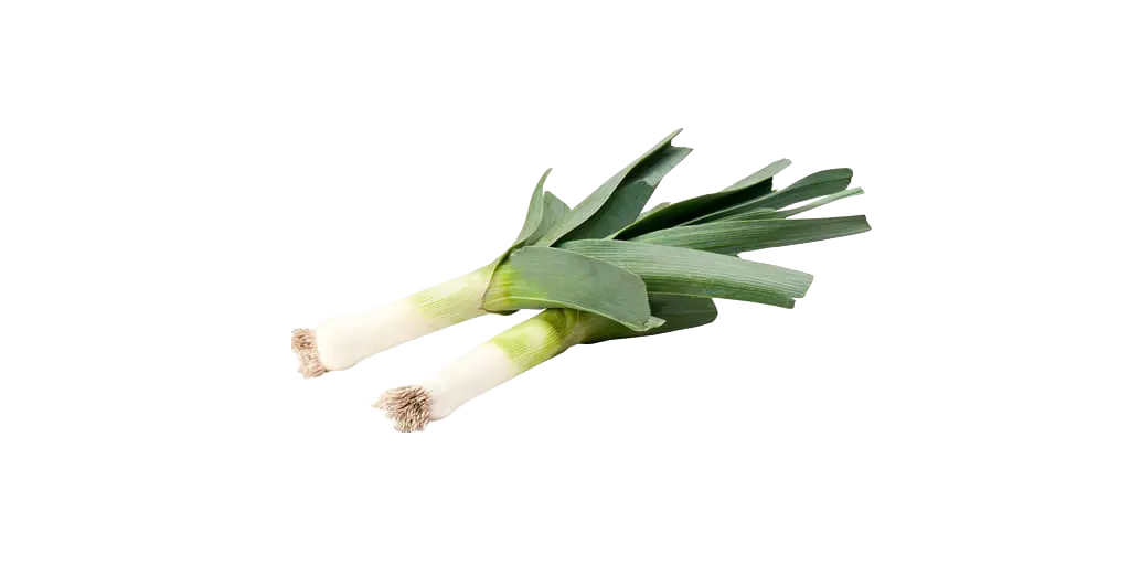 Lauch