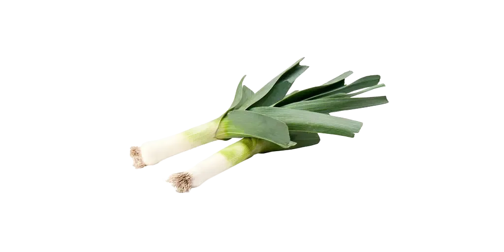 Lauch