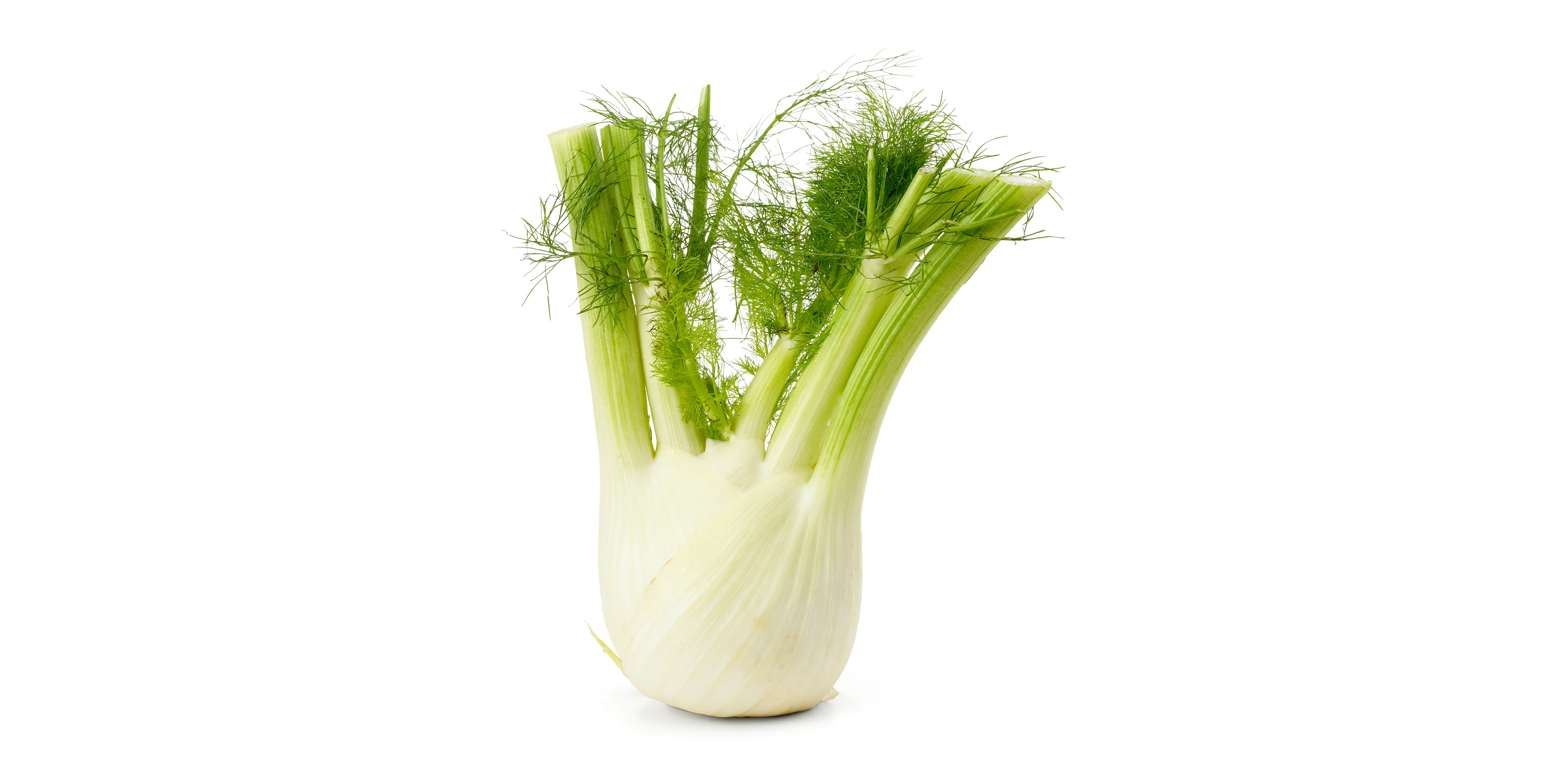 bianco e verde finocchio