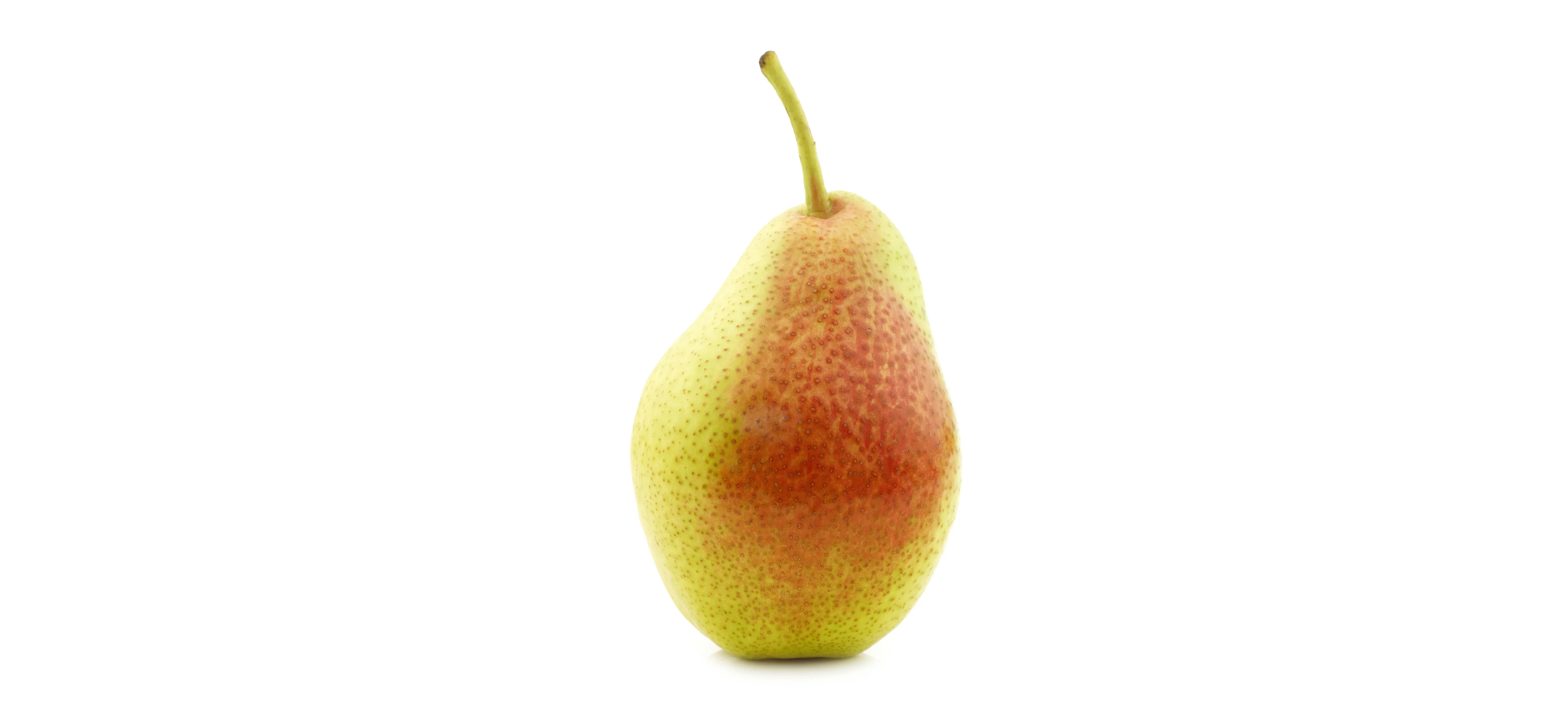 Birne Forelle