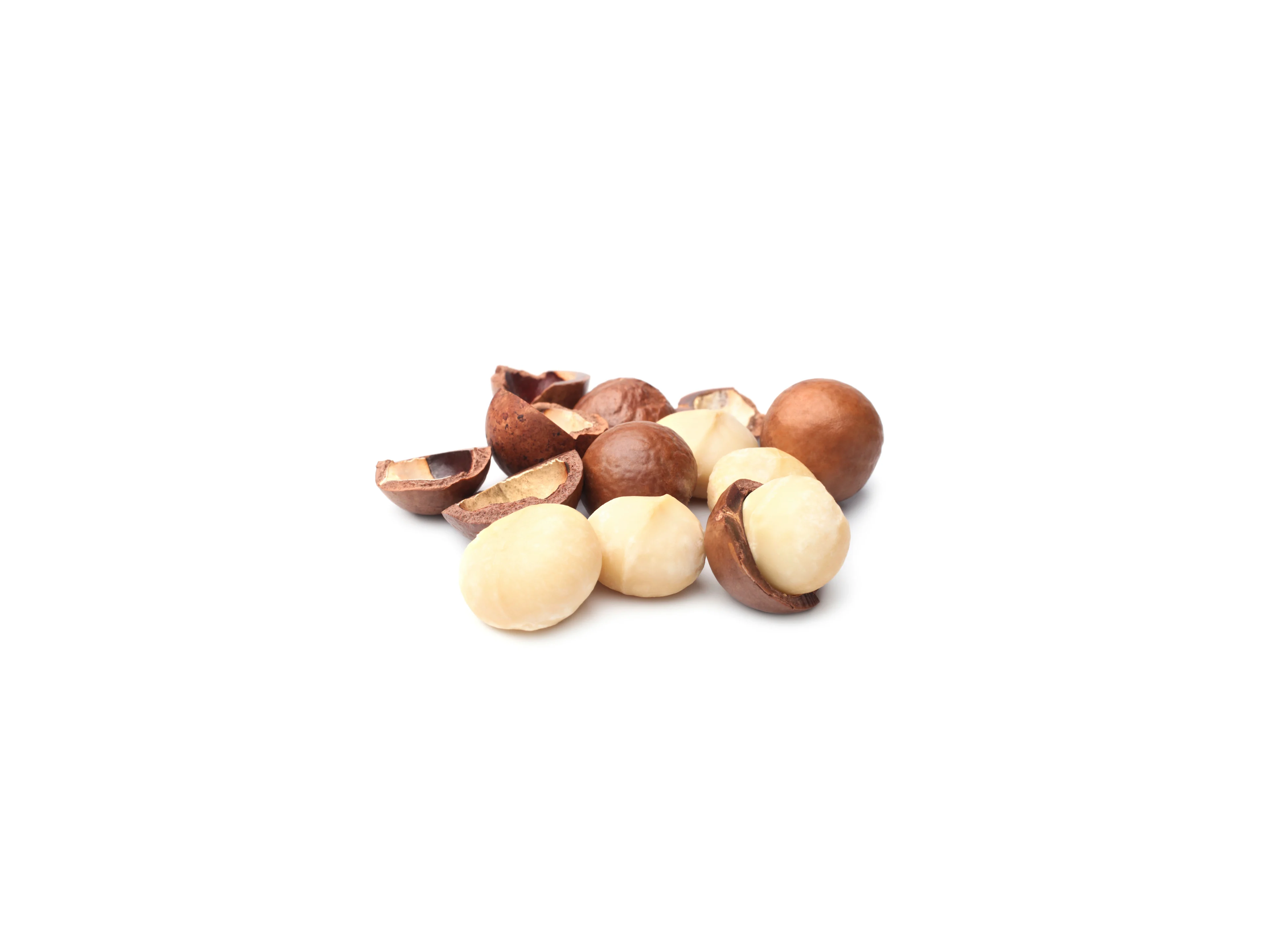 Macadamia