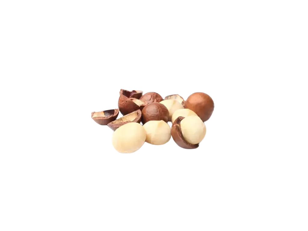 Macadamia