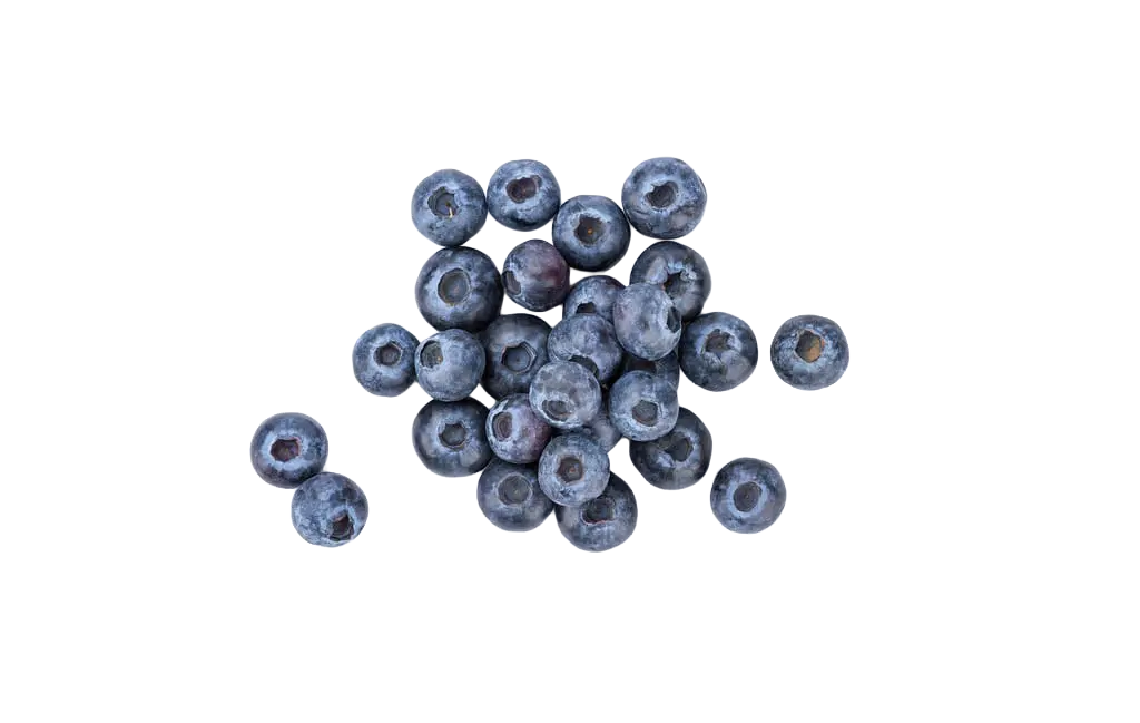 Ganze Heidelbeeren