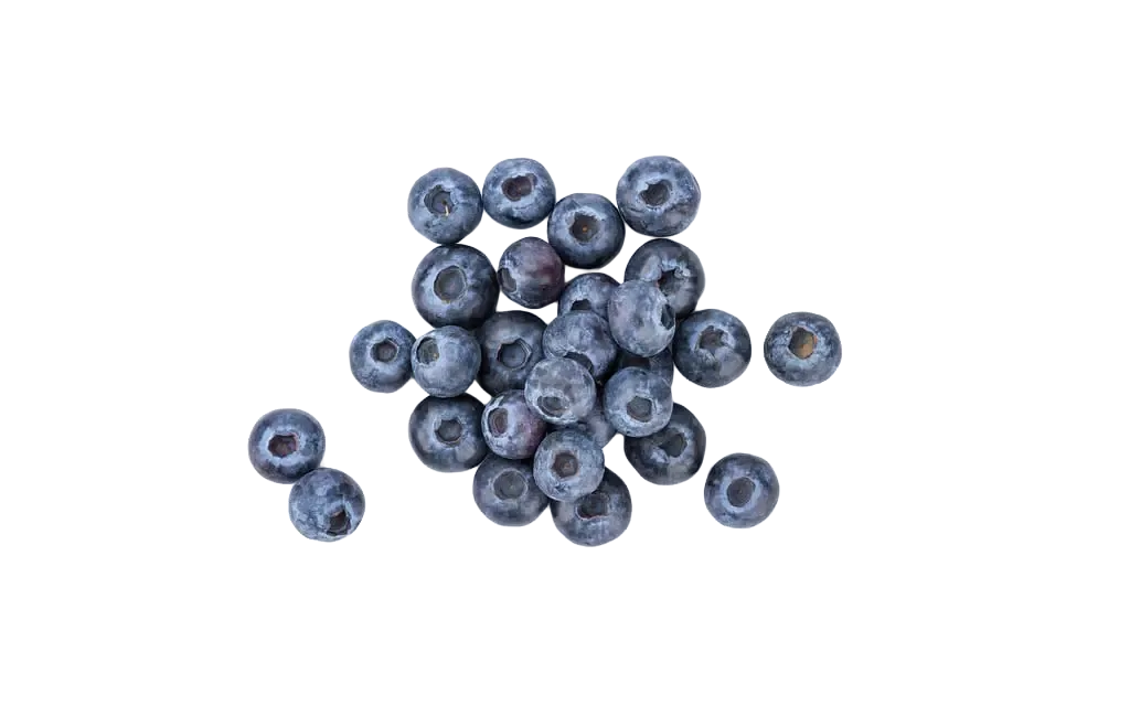 Ganze Heidelbeeren