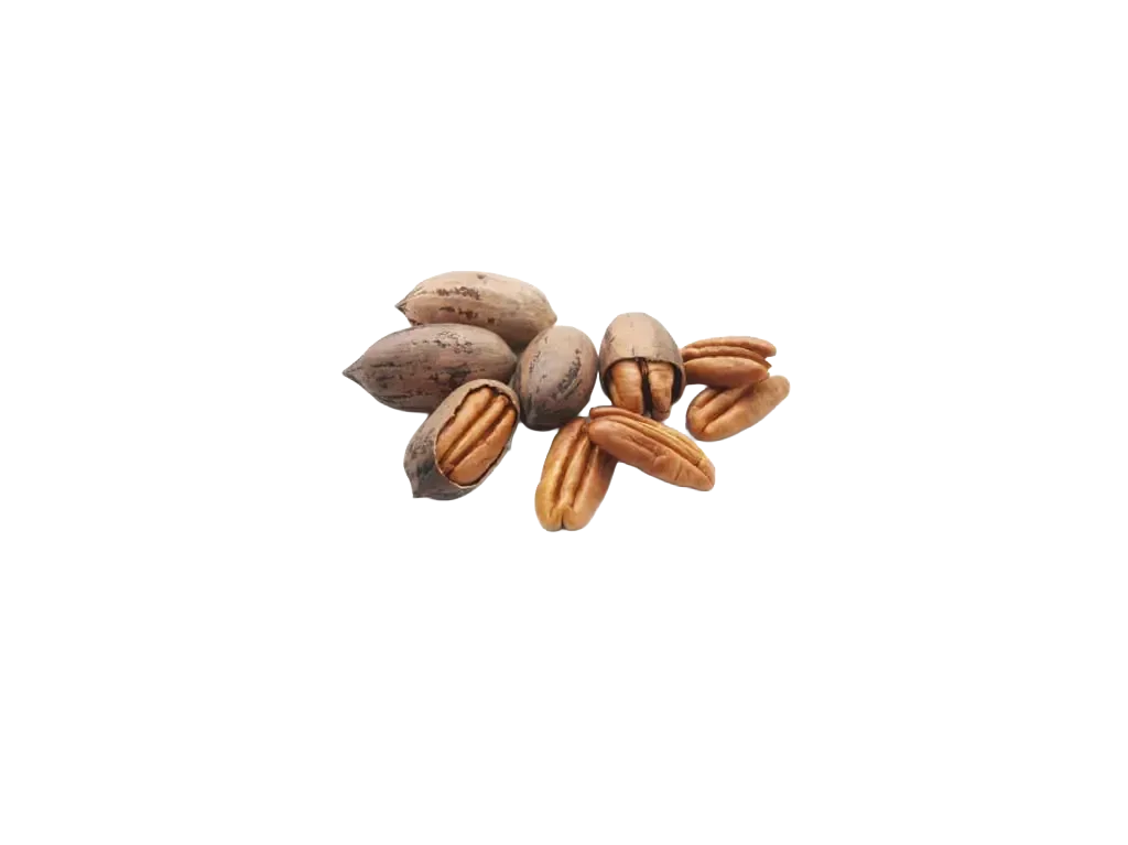 Pecannüsse