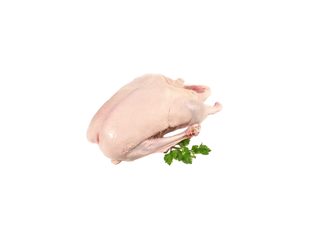 Carne d’oca