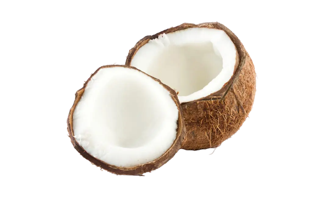Noce di cocco