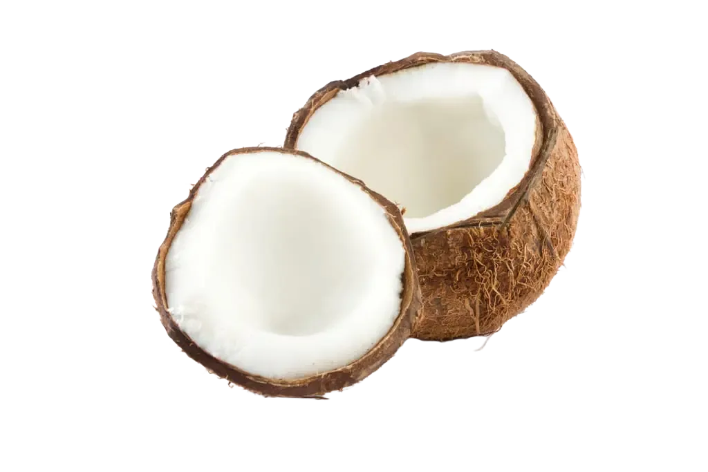 Halbierte Kokosnuss