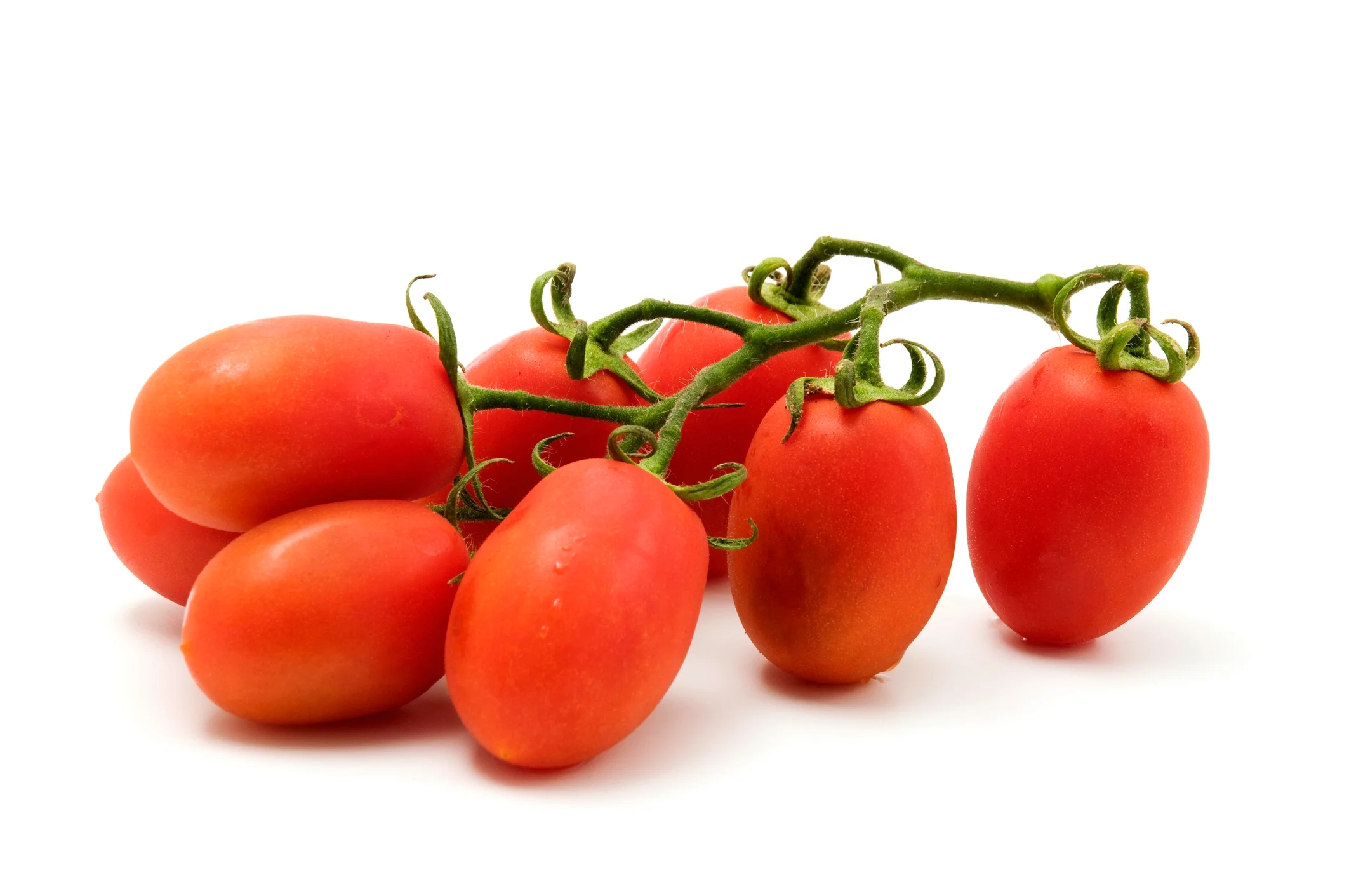 Mehrere Datteltomaten am Zweig
