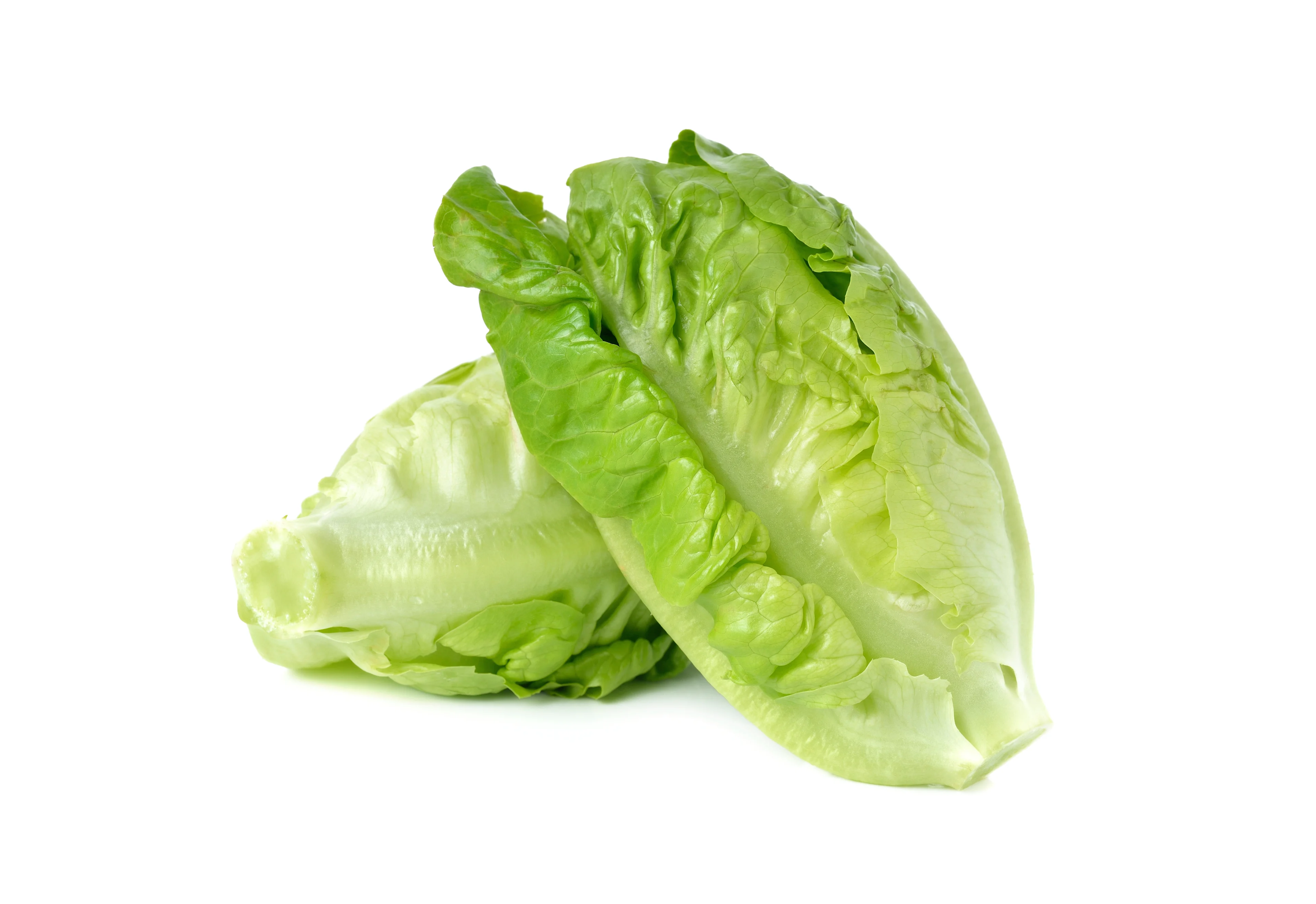 Laitue romaine