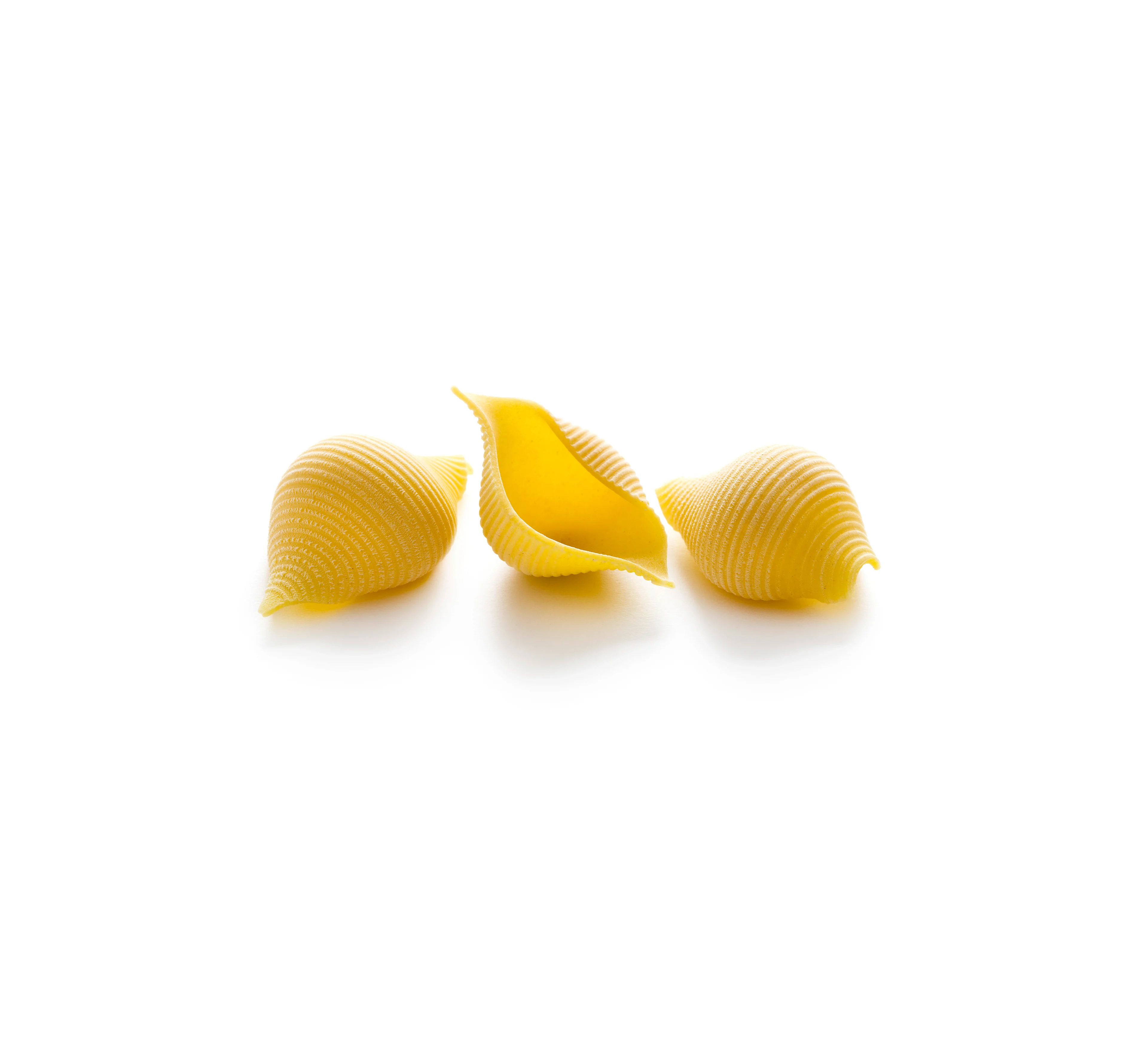 Conchiglie