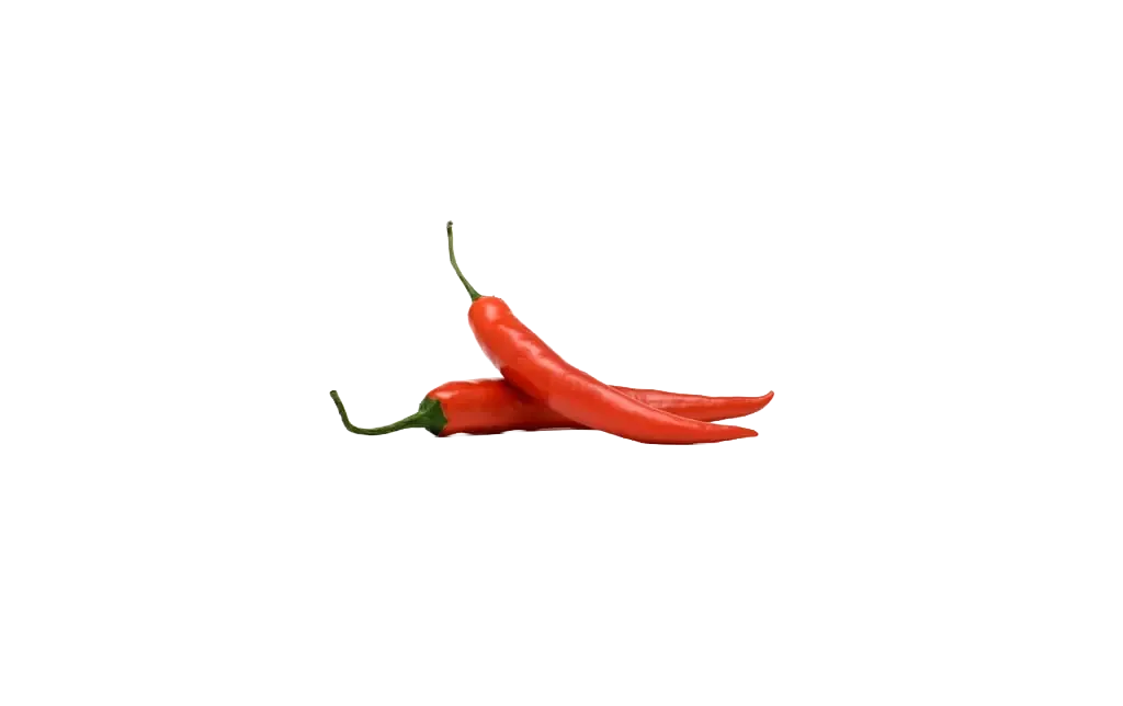 Chilischoten, frisch