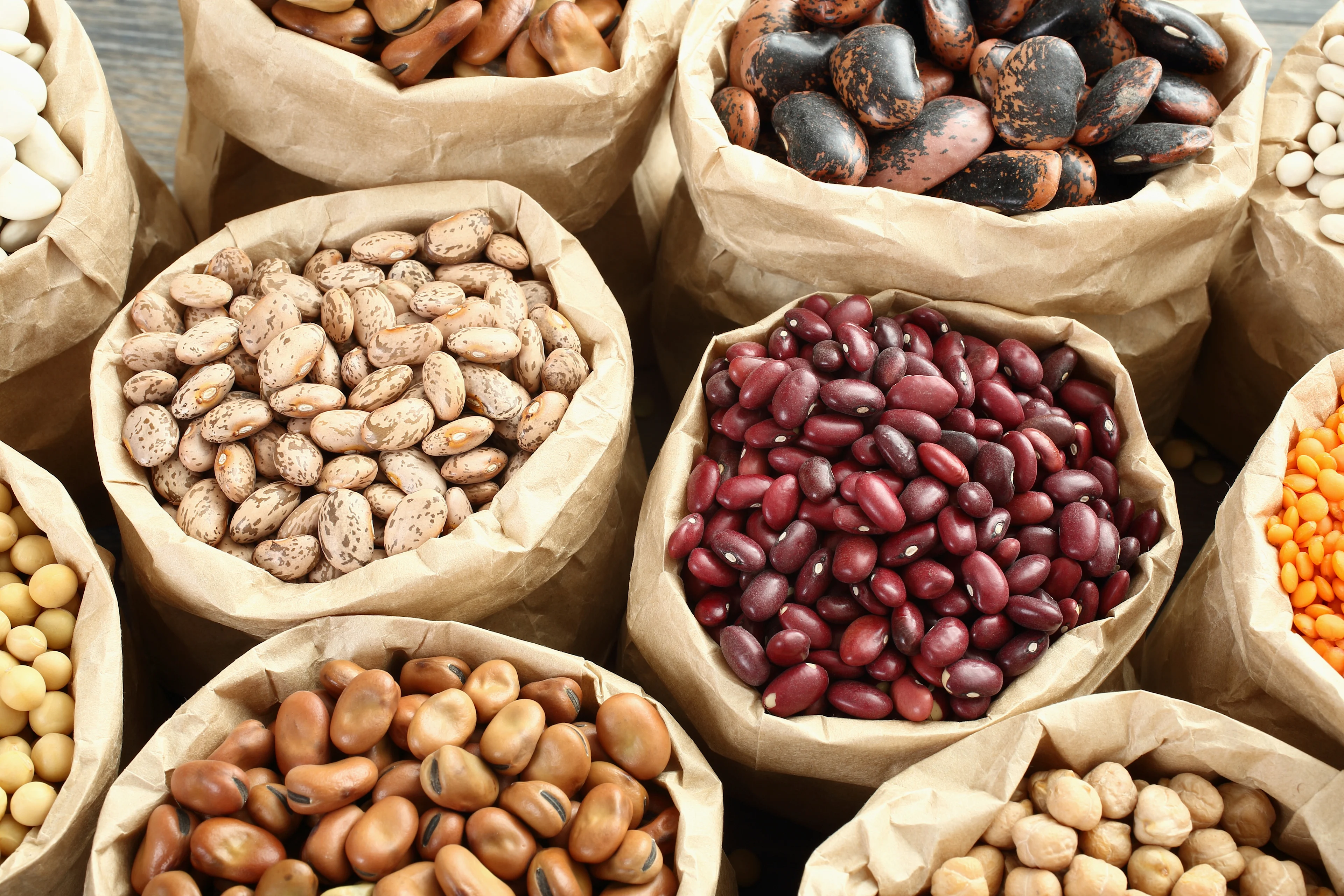 Haricots secs