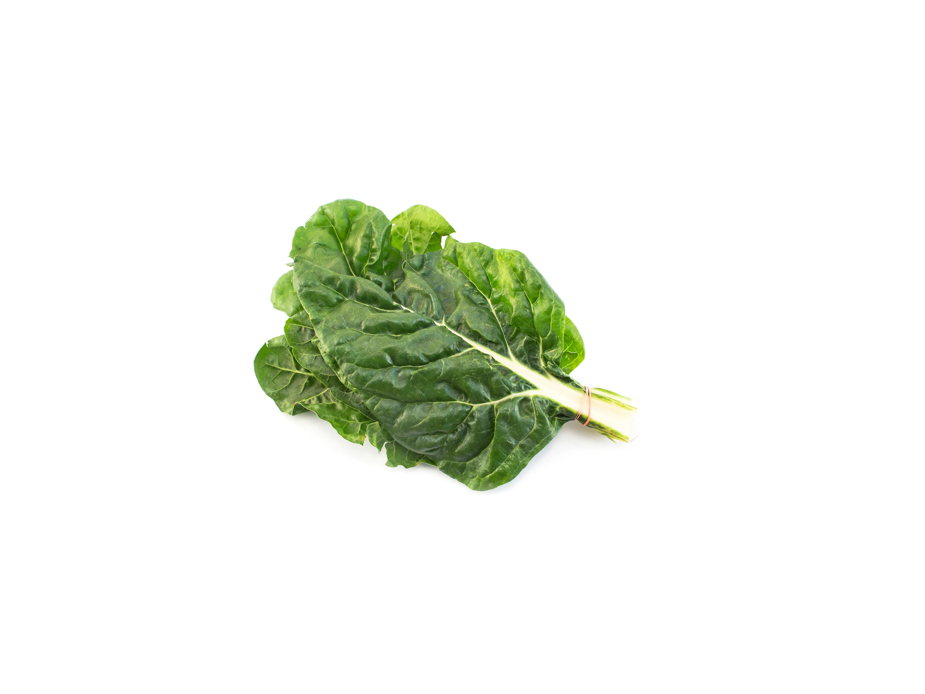 Krautstiel