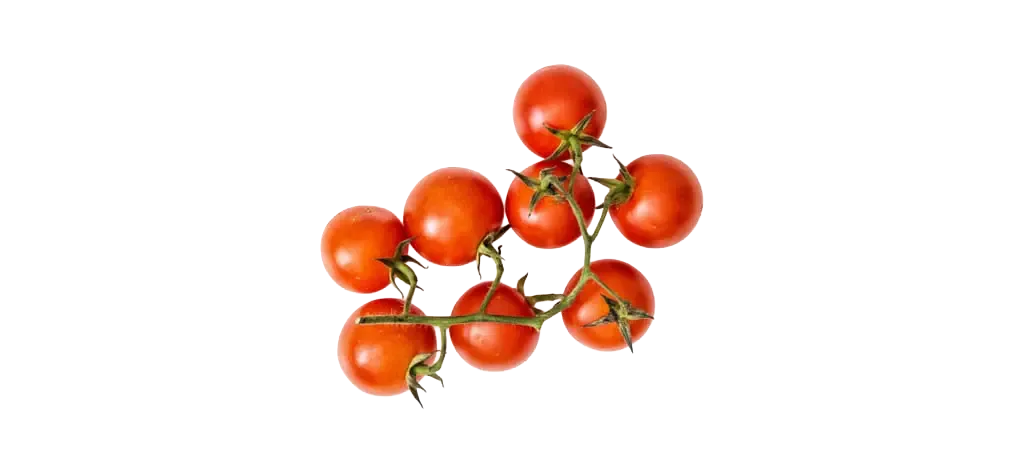 Mehrere Cherrytomaten am Zweig