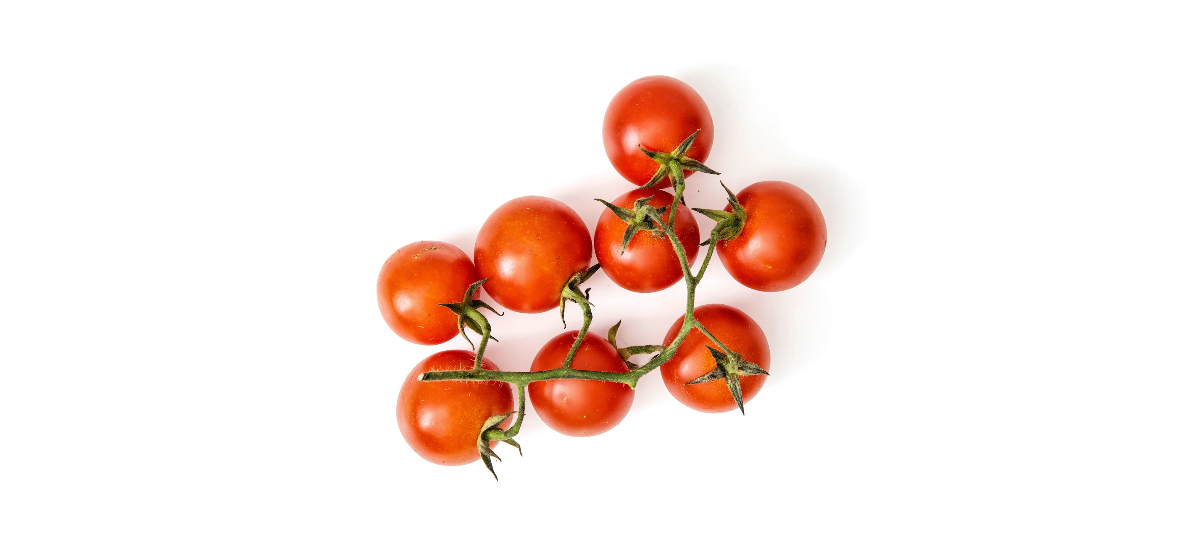 Tomate cherry