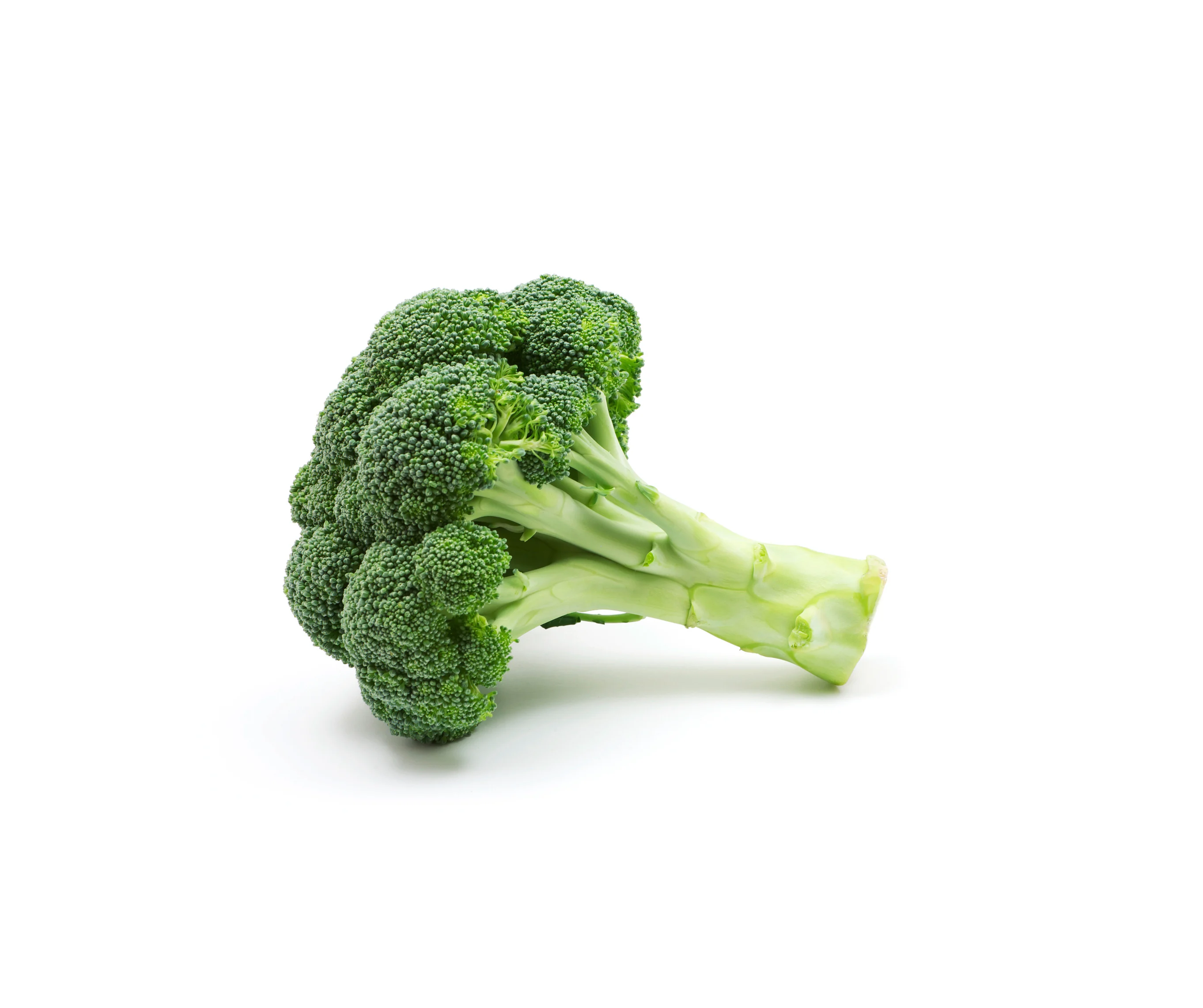 Broccolo