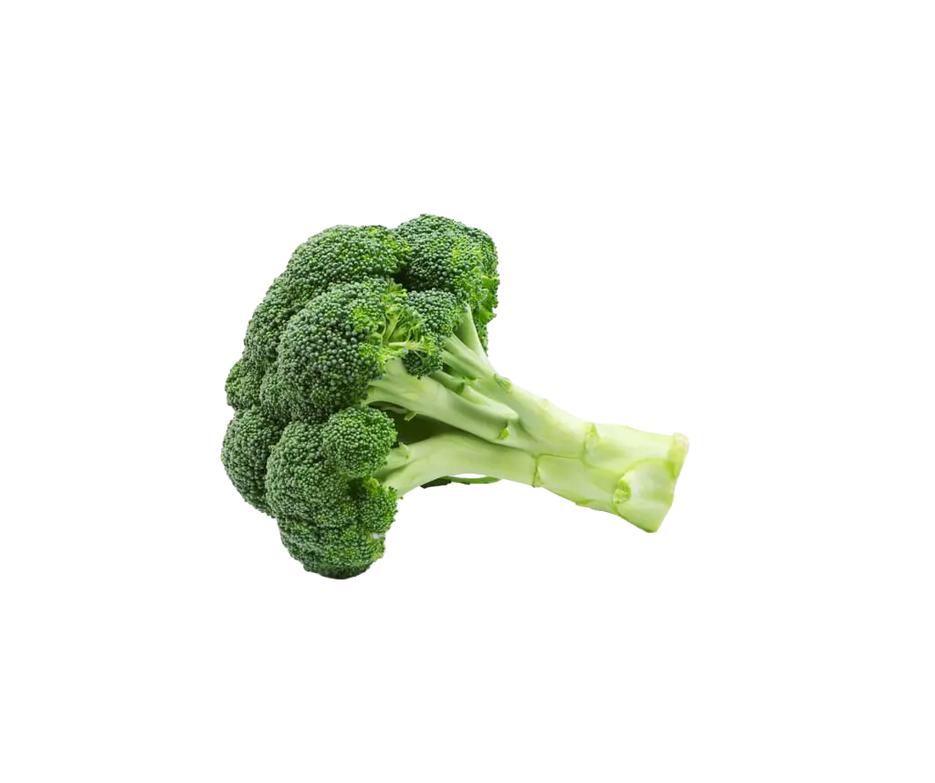 Broccoli