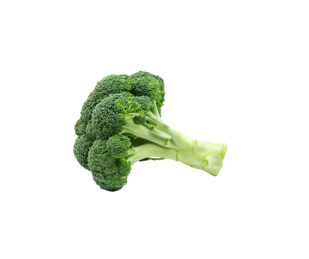 Broccoli