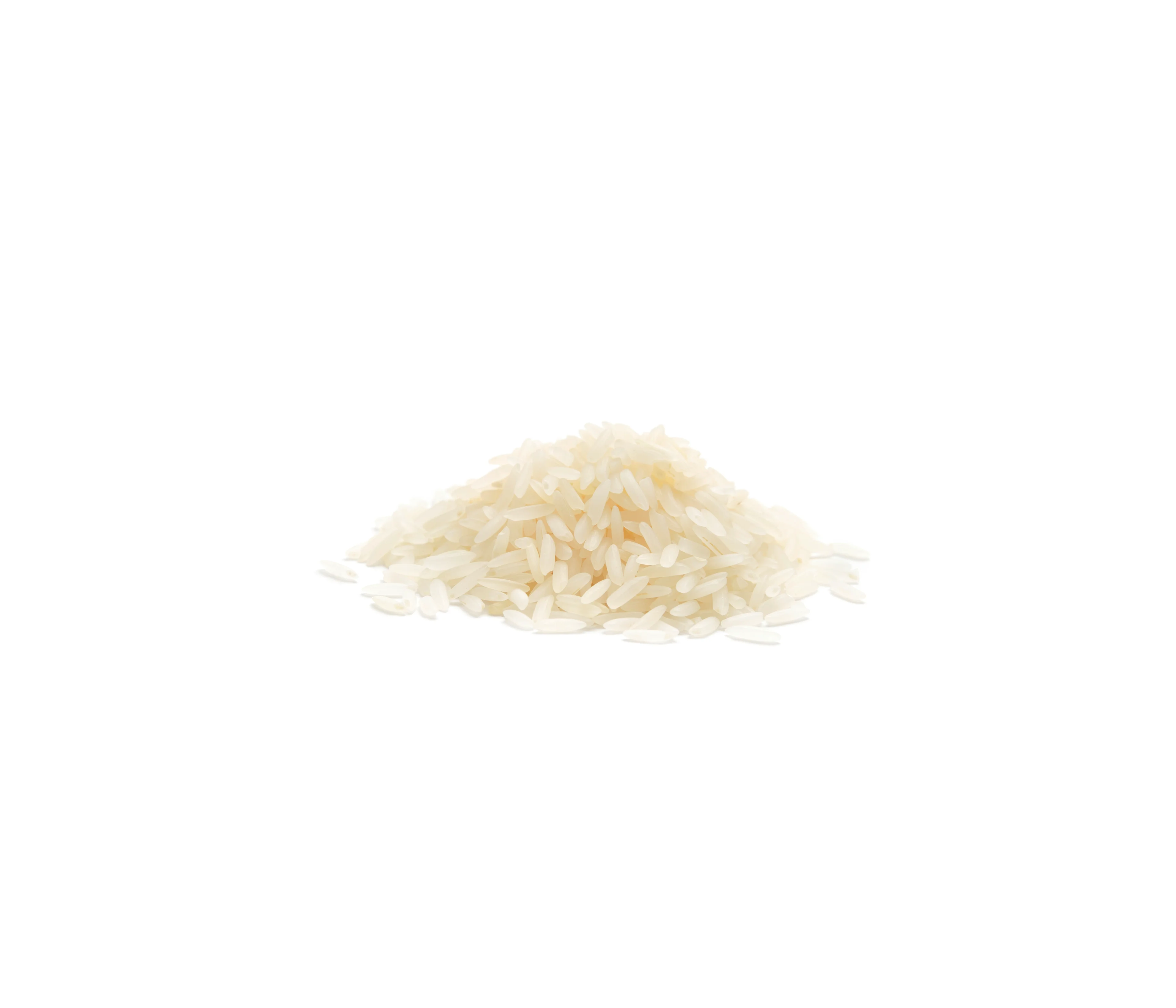 Jasmin-Reis