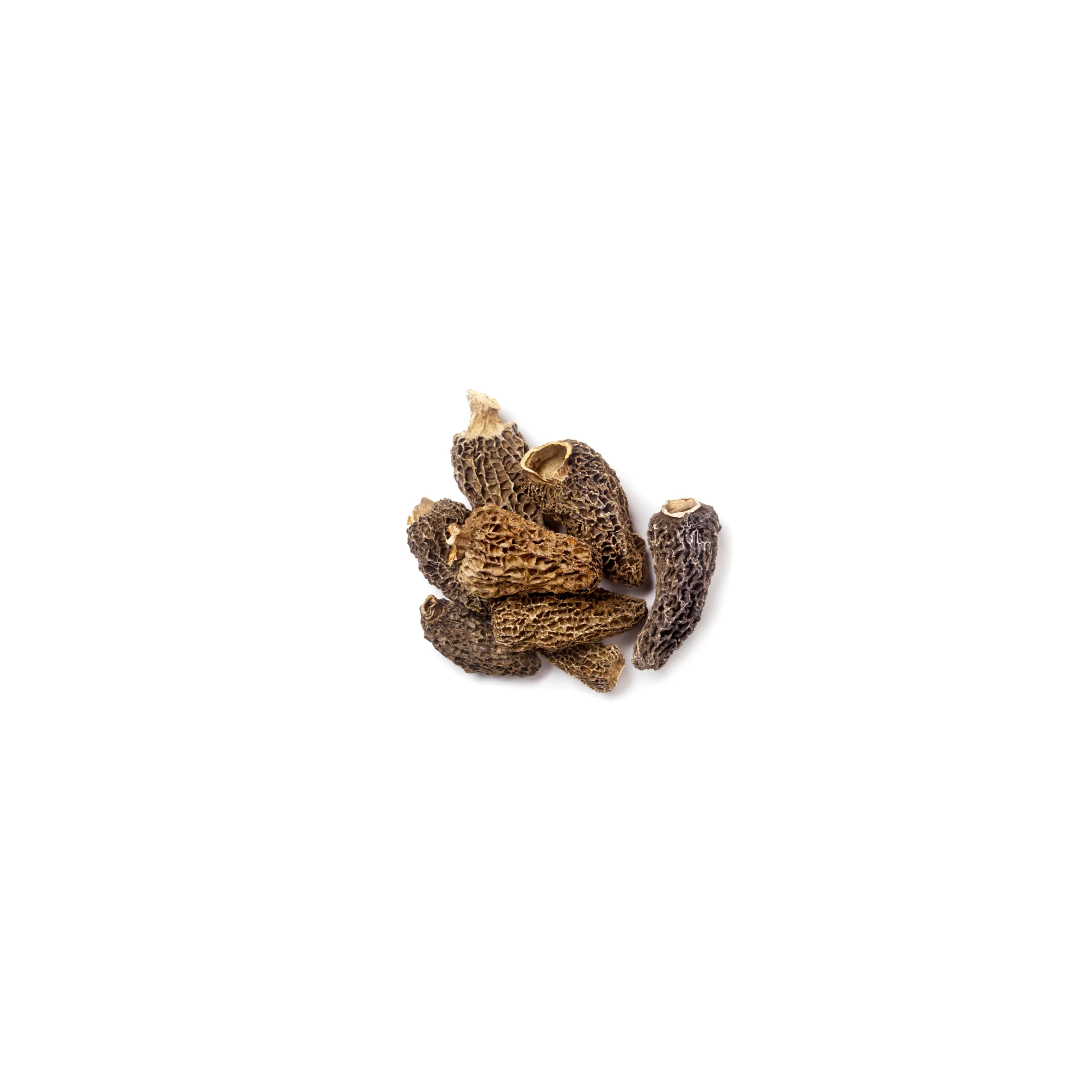 Getrocknete Morcheln