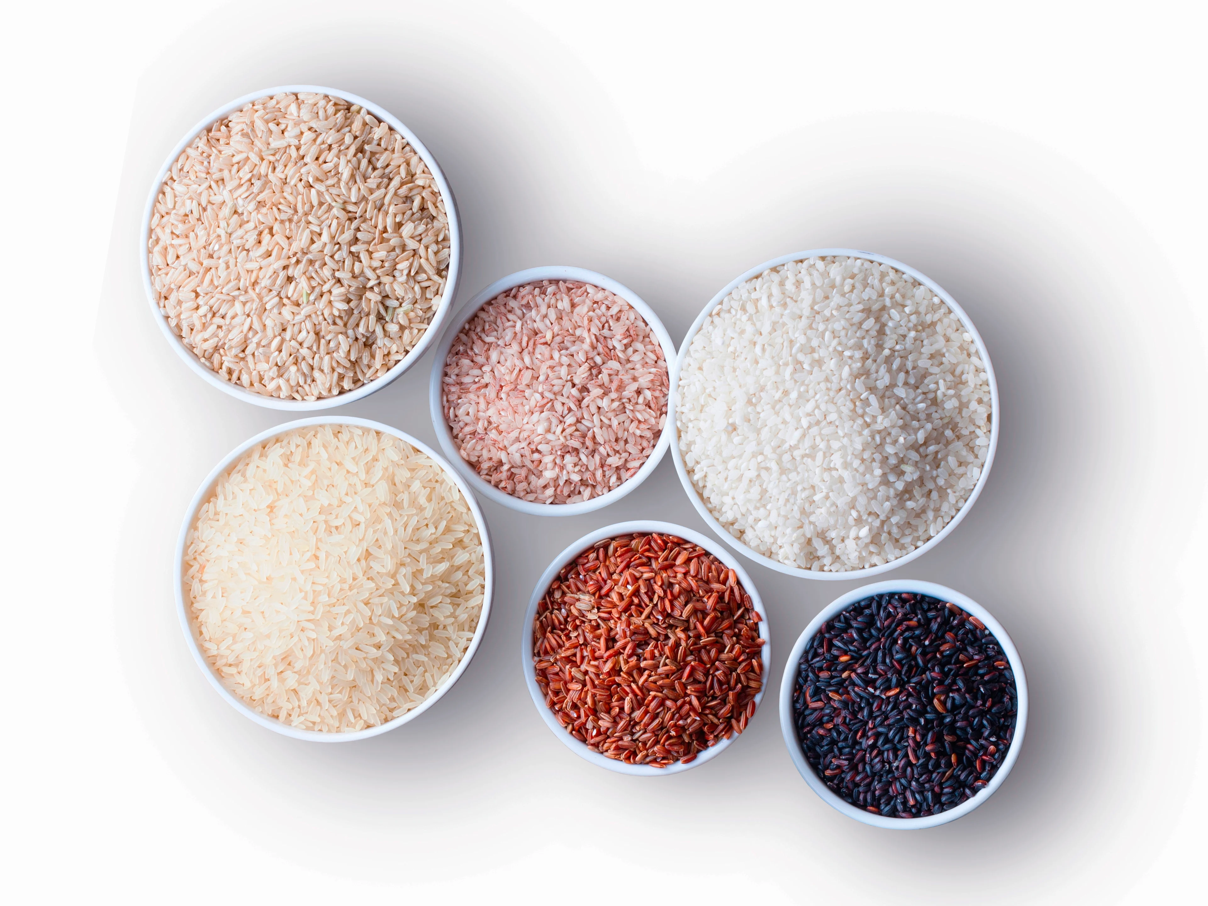 Différentes variétés de riz