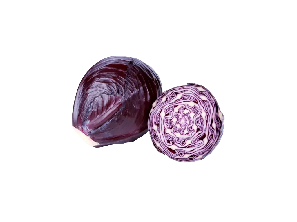 Rotkohl / Rotkabis