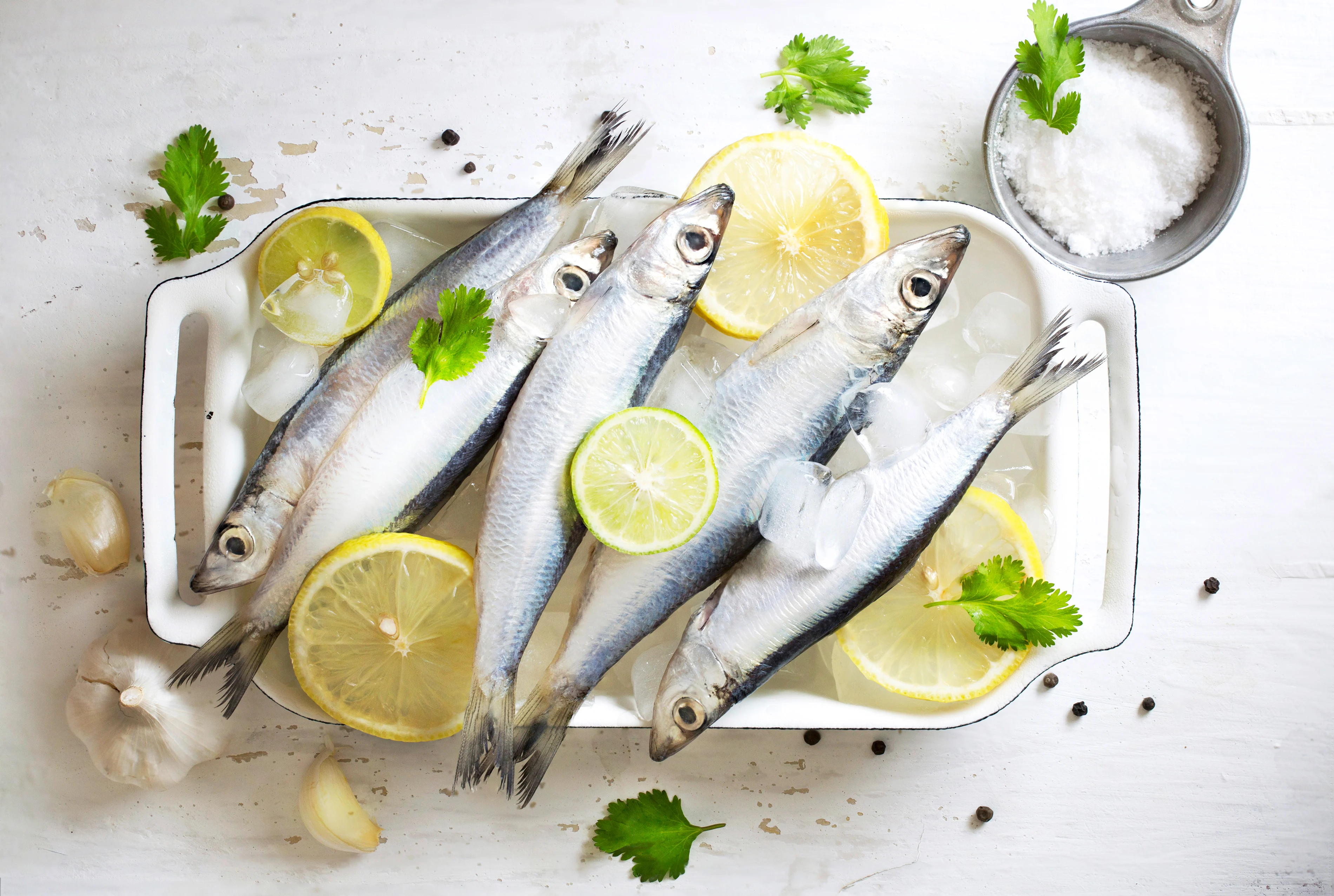 Sardine fresche