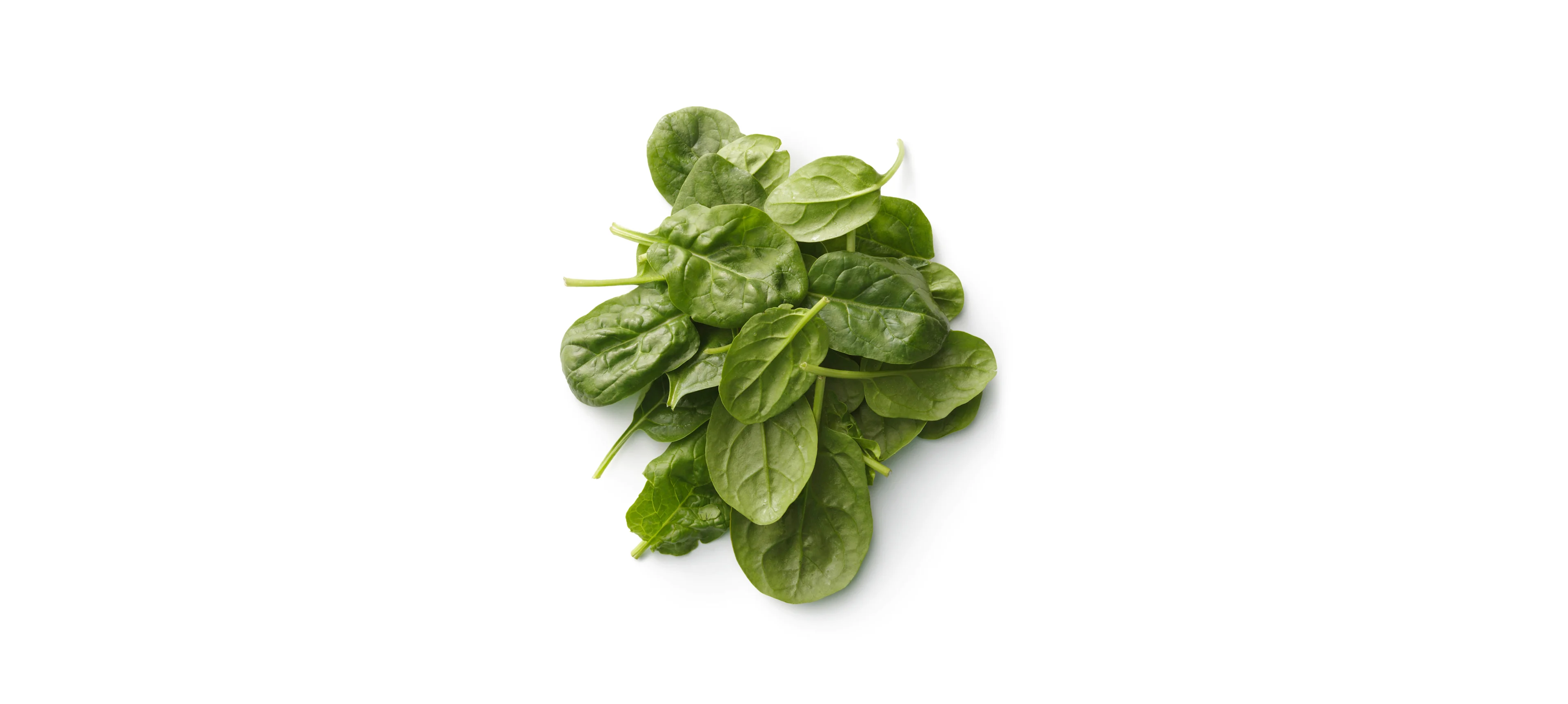 Spinaci