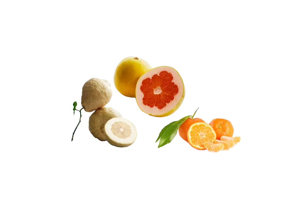 Mandarine, pamplemousse et cédrat