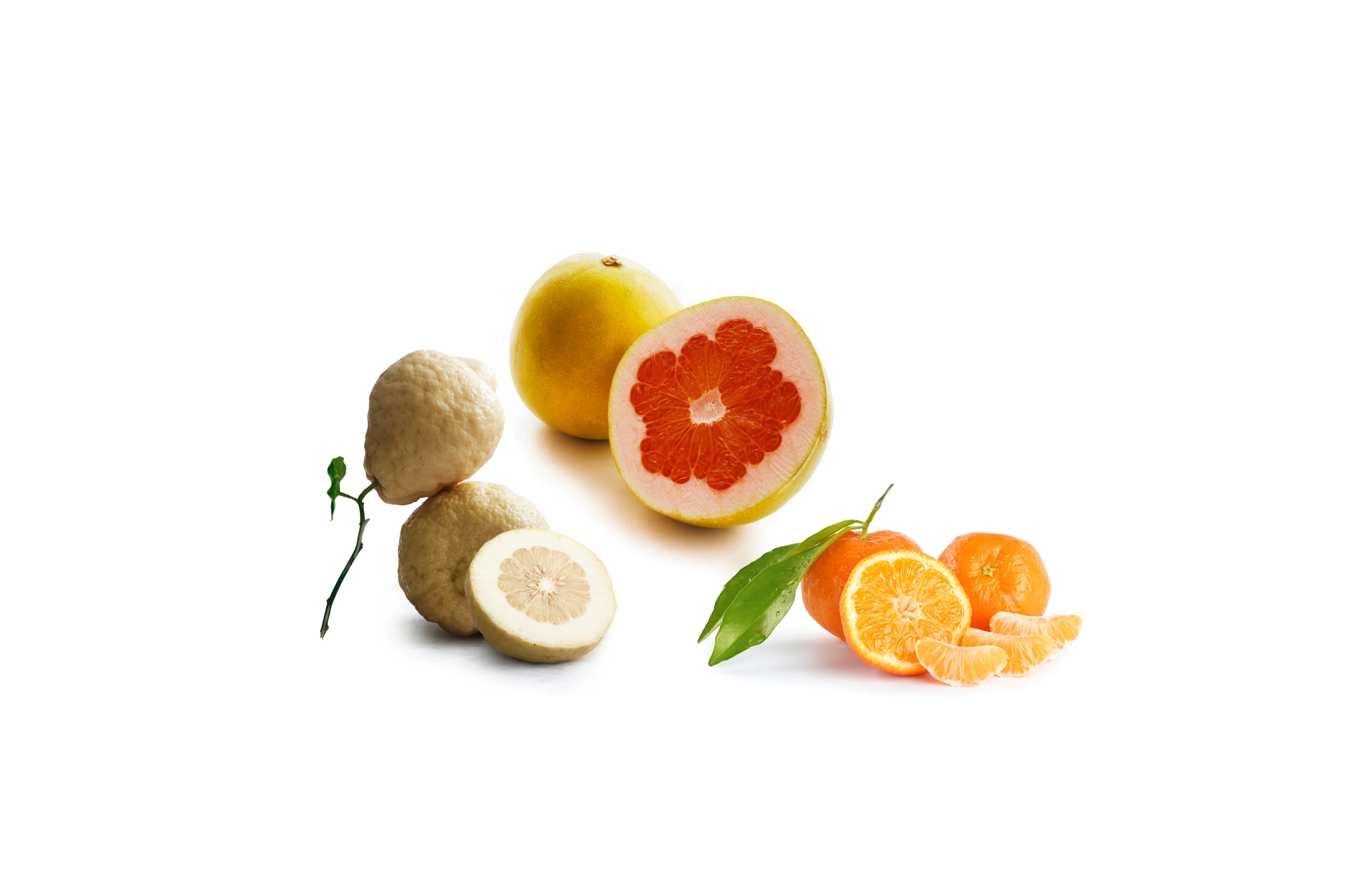 Cedro, pomelo, mandarino