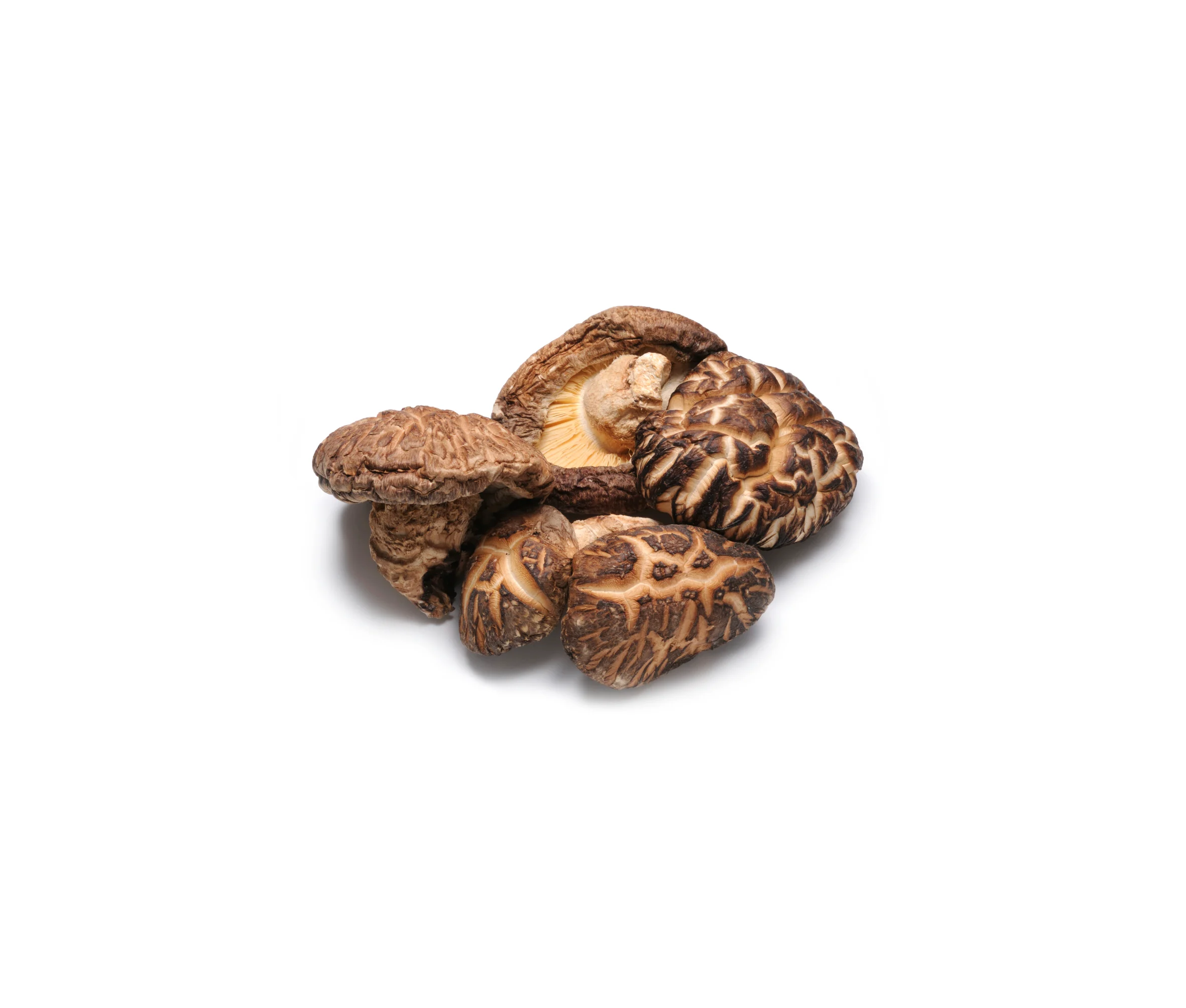 Getrocknete Shiitake-Pilze