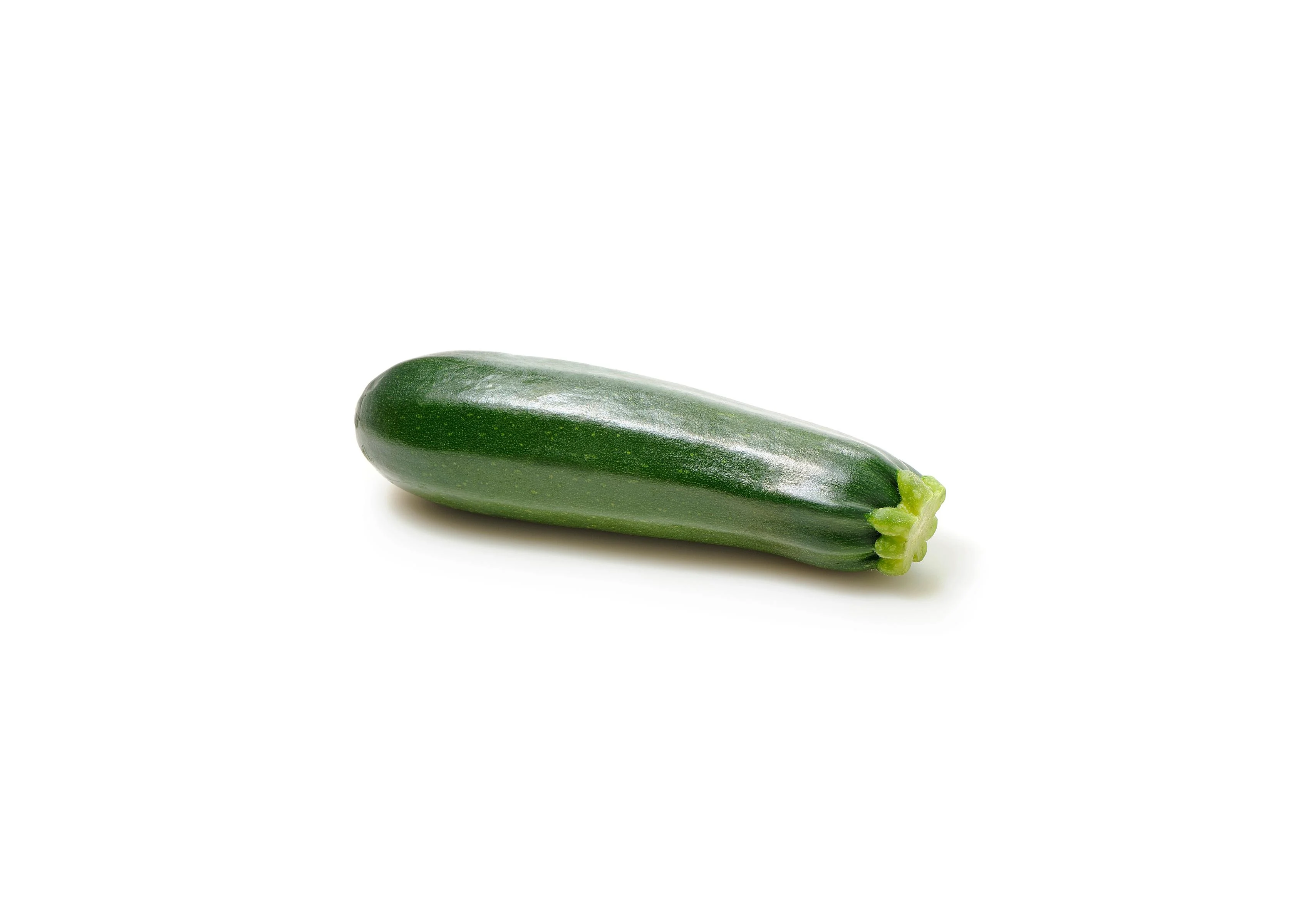 Zucchina