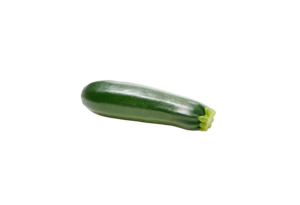 Zucchina