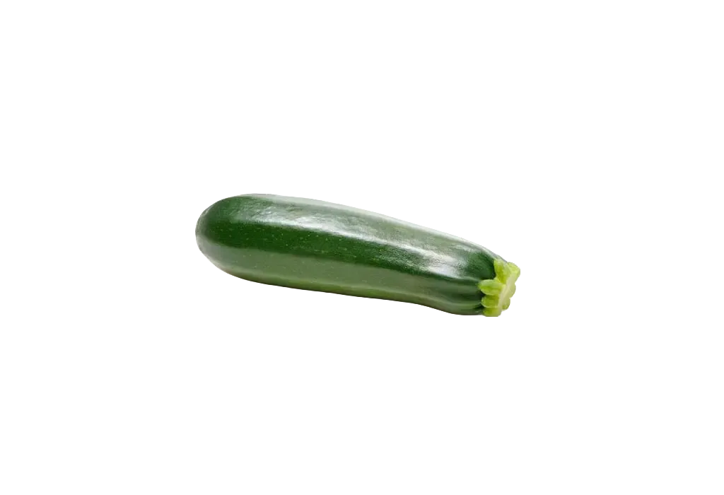 Zucchetti