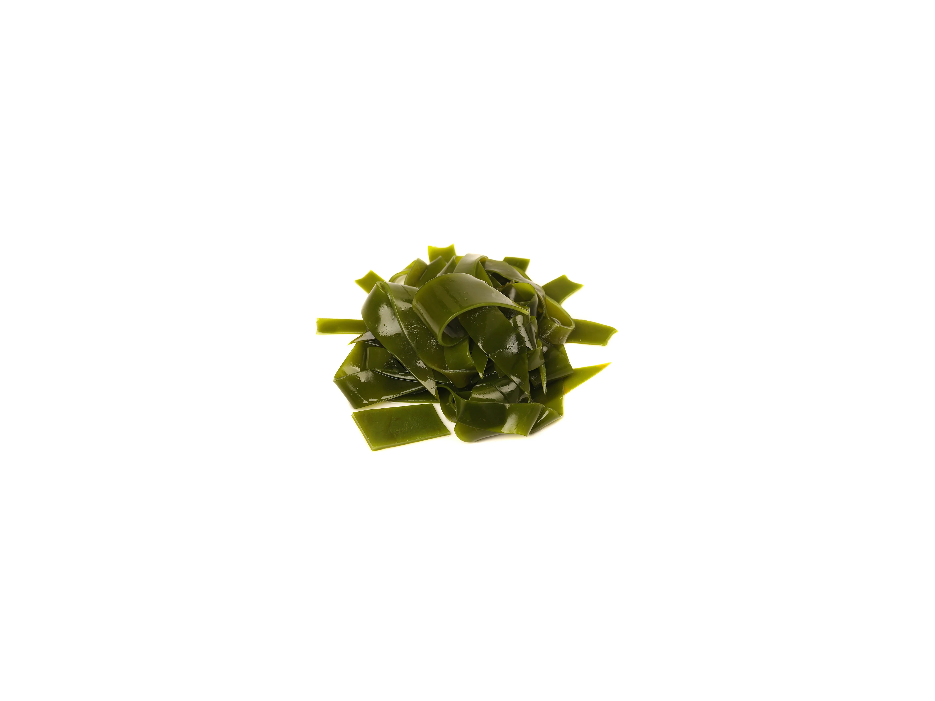 Kombu Algen