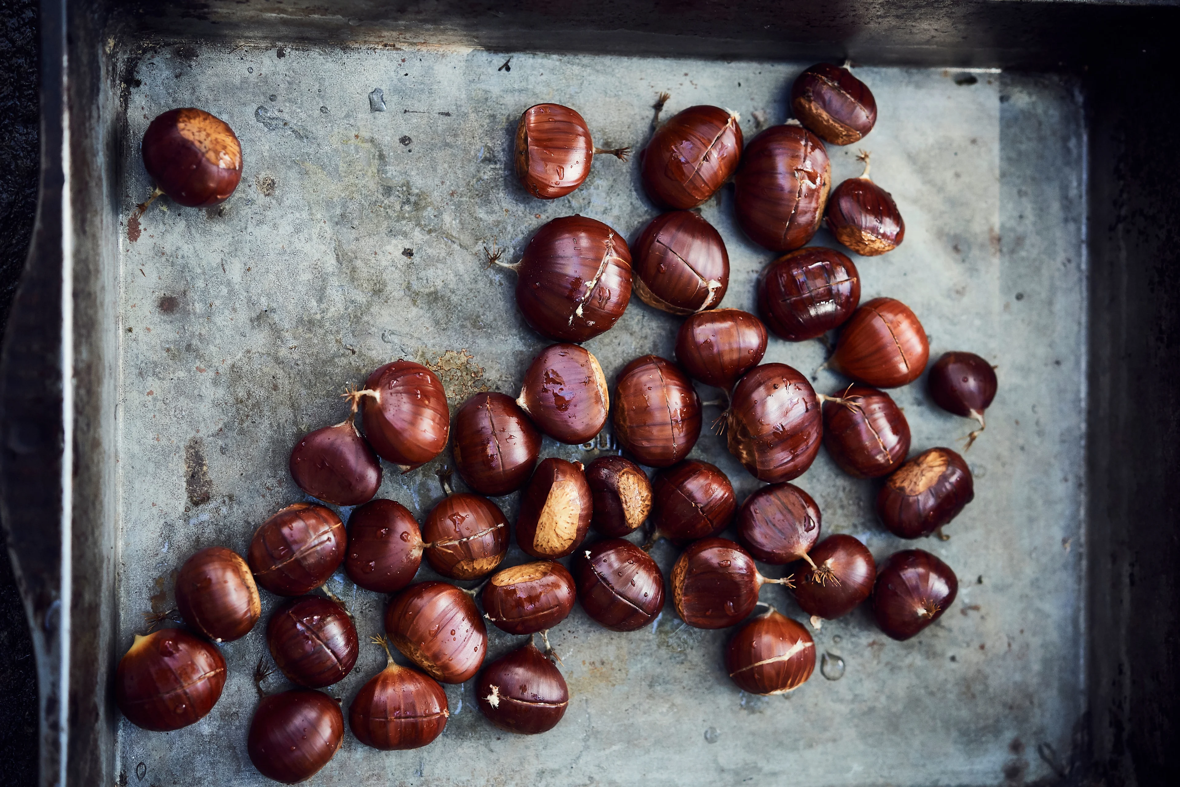 Marroni