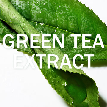 Green Tea - SI3